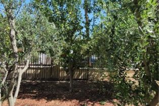 Residential Income, 3112 1st st, Riverside, CA 92507 - 34