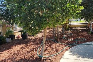 Residential Income, 3112 1st st, Riverside, CA 92507 - 51