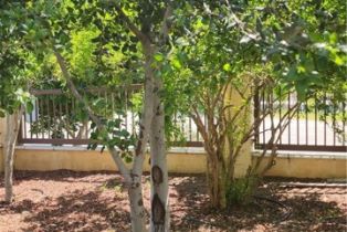 Residential Income, 3112 1st st, Riverside, CA 92507 - 68