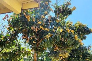 Residential Income, 3112 1st st, Riverside, CA 92507 - 70