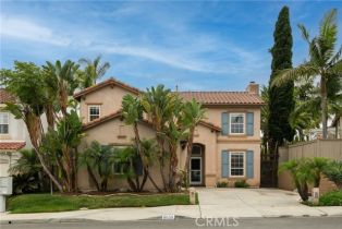 Single Family Residence, 6050 Paseo Carreta, Carlsbad, CA  Carlsbad, CA 92009