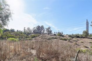 Single Family Residence, 3365 Chestnut ln, Camarillo, CA 93012 - 46