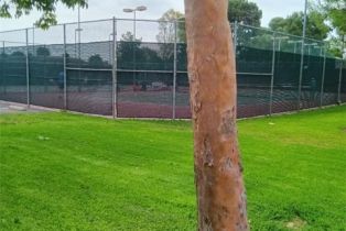 Condominium, 18 Goldenbush, Irvine, CA 92604 - 48