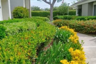 Condominium, 18 Goldenbush, Irvine, CA 92604 - 49