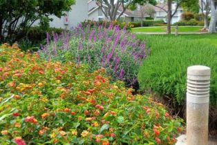 Condominium, 18 Goldenbush, Irvine, CA 92604 - 50