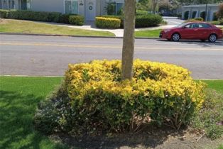 Condominium, 18 Goldenbush, Irvine, CA 92604 - 6