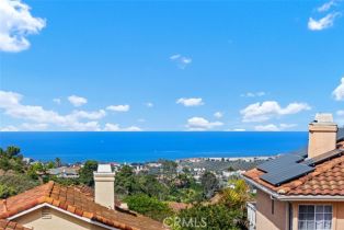 Single Family Residence, 27 Burriana, San Clemente, CA 92672 - 2