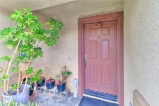 Single Family Residence, 28926 Lavatera ave, Murrieta, CA 92563 - 40