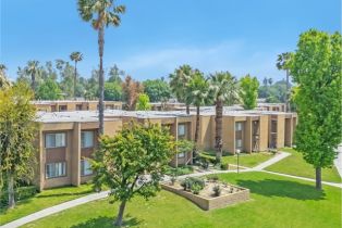 Residential Income, 1066 Orange st, Riverside, CA 92501 - 10