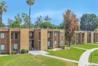 Residential Income, 1066 Orange st, Riverside, CA 92501 - 6