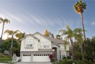 Single Family Residence, 27153 Woodbluff rd, Laguna Hills, CA 92653 - 38
