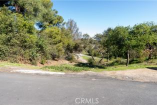Land, 0 Clover TRL, Calabasas, CA  Calabasas, CA 91302