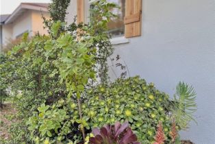 Single Family Residence, 2413 Oak ave, Fullerton, CA 92833 - 8