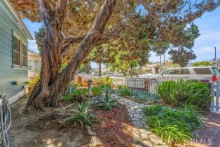 Single Family Residence, 230 56th st, Long Beach, CA 90805 - 4