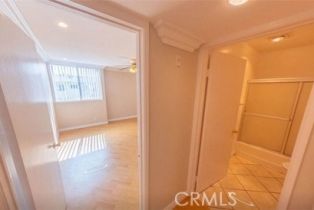 Apartment, 940 North Ardmore avenue, Hollywood , CA 90029 - 19