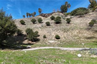 , 20713 Collins st, Woodland Hills, CA 91367 - 5