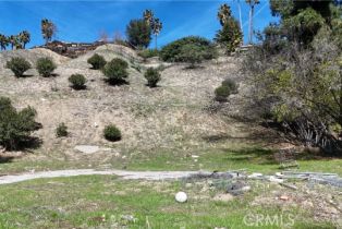 , 20713 Collins st, Woodland Hills, CA 91367 - 6