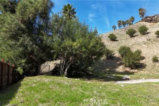 , 20713 Collins st, Woodland Hills, CA 91367 - 7