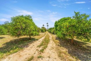 Single Family Residence, 2189 Myers st, Riverside, CA 92503 - 43