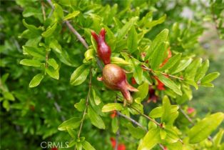 Single Family Residence, 5132 Avenida Oriente, Tarzana, CA 91356 - 26