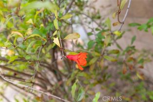 Single Family Residence, 10415 Wish ave, Granada Hills, CA 91344 - 40