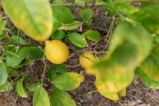 Single Family Residence, 10415 Wish ave, Granada Hills, CA 91344 - 43