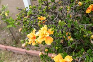 Single Family Residence, 10415 Wish ave, Granada Hills, CA 91344 - 52