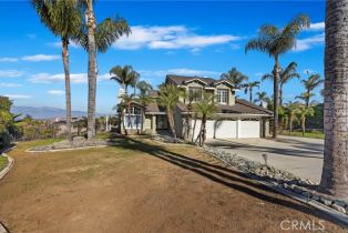 Single Family Residence, 10721 Orchard View ln, Riverside, CA 92503 - 7