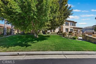 Single Family Residence, 1987 Sycamore Hill dr, Riverside, CA 92506 - 5