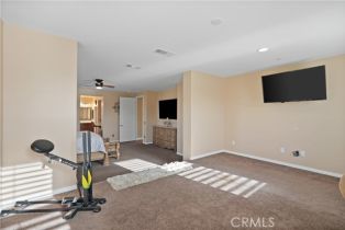 Single Family Residence, 37869 Apache Plume dr, Murrieta, CA 92563 - 46