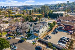 Single Family Residence, 16846 Addison st, Encino, CA 91436 - 3