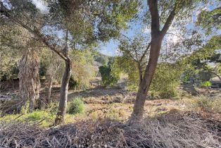 , 0 Calle Jardin, Temecula, CA 92590 - 14