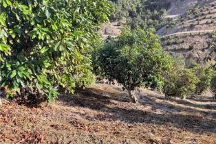 , 0 Calle Jardin, Temecula, CA 92590 - 16