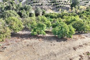 , 0 Calle Jardin, Temecula, CA 92590 - 18