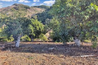 , 0 Calle Jardin, Temecula, CA 92590 - 2