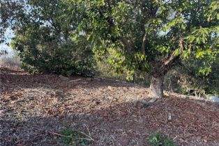 , 0 Calle Jardin, Temecula, CA 92590 - 22