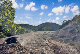 Land, 0 Calle Jardin, Temecula, CA  Temecula, CA 92590