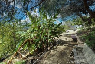 , 0 Angel View Terrace ave, Orange, CA 92865 - 12