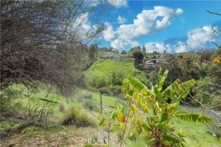 , 0 Angel View Terrace ave, Orange, CA 92865 - 13