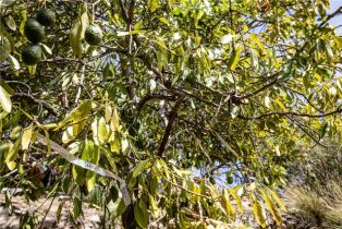 , 0 Angel View Terrace ave, Orange, CA 92865 - 14