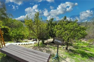 , 0 Angel View Terrace ave, Orange, CA 92865 - 16