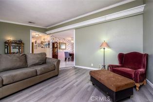 Single Family Residence, 24565 Becerra drive, Murrieta, CA 92562 - 10