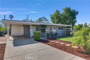 Single Family Residence, 4209 Michael st, Riverside, CA 92507 - 3