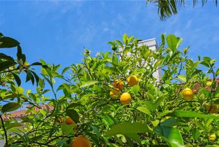 Single Family Residence, 1043 Smoketree drive, Corona, CA 92882 - 55