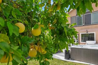 Single Family Residence, 1441 San Almada rd, Corona, CA 92882 - 32