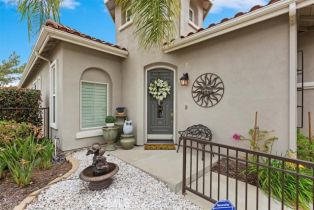 Single Family Residence, 24188 Owl ct, Corona, CA 92883 - 6