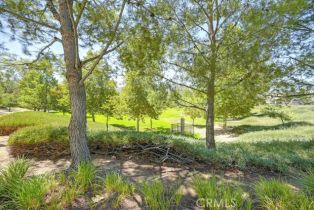 Single Family Residence, 24932 Greenbrier ct, Corona, CA 92883 - 58