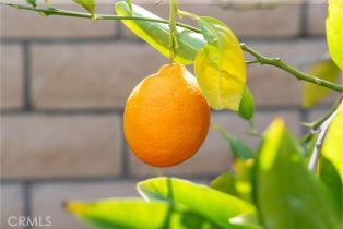 Single Family Residence, 1720 San Alvarado cir, Corona, CA 92882 - 39