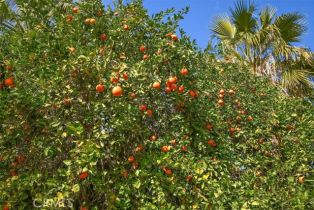 Single Family Residence, 75270 Palm Shadow dr, Indian Wells, CA 92210 - 34