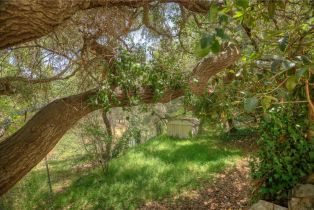 Single Family Residence, 520 Linda Vista ave, Pasadena, CA 91105 - 36